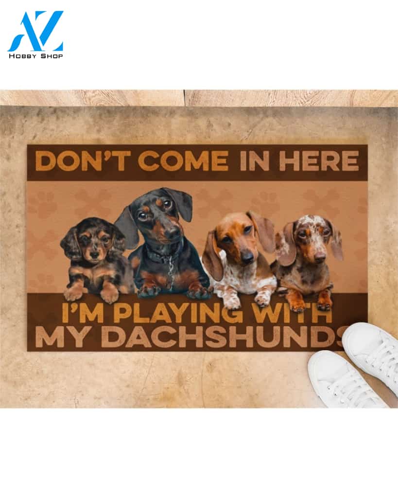 Dachshund Don't Come In Here Funny Doormat Gift For Dog Lovers Birthday Gift Home Decor Warm House Gift Welcome Mat