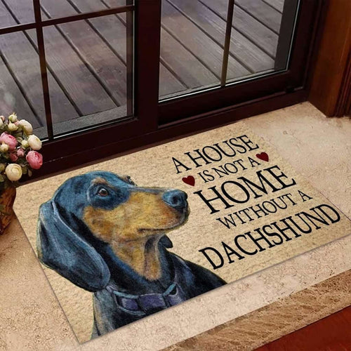 DACHSHUND HOME WITHOUT