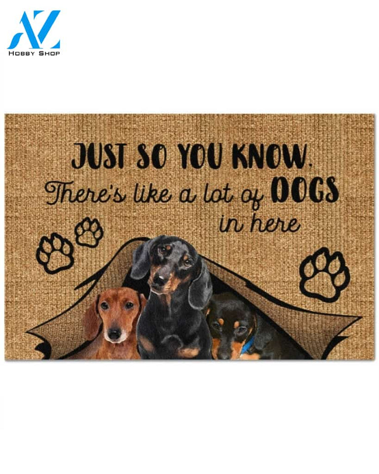 Dachshund Just So You Know Funny Indoor And Outdoor Doormat Warm House Gift Welcome Mat Funny Birthday Gift Gift For Dachshund Lovers Dog Lovers