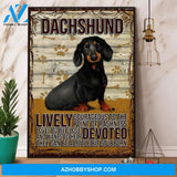 Dachshund Lively Courageous To The Point Of Rashness Canvas And Poster, Wall Decor Visual Art