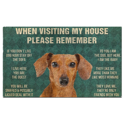 Dachshund's Rules Doormat
