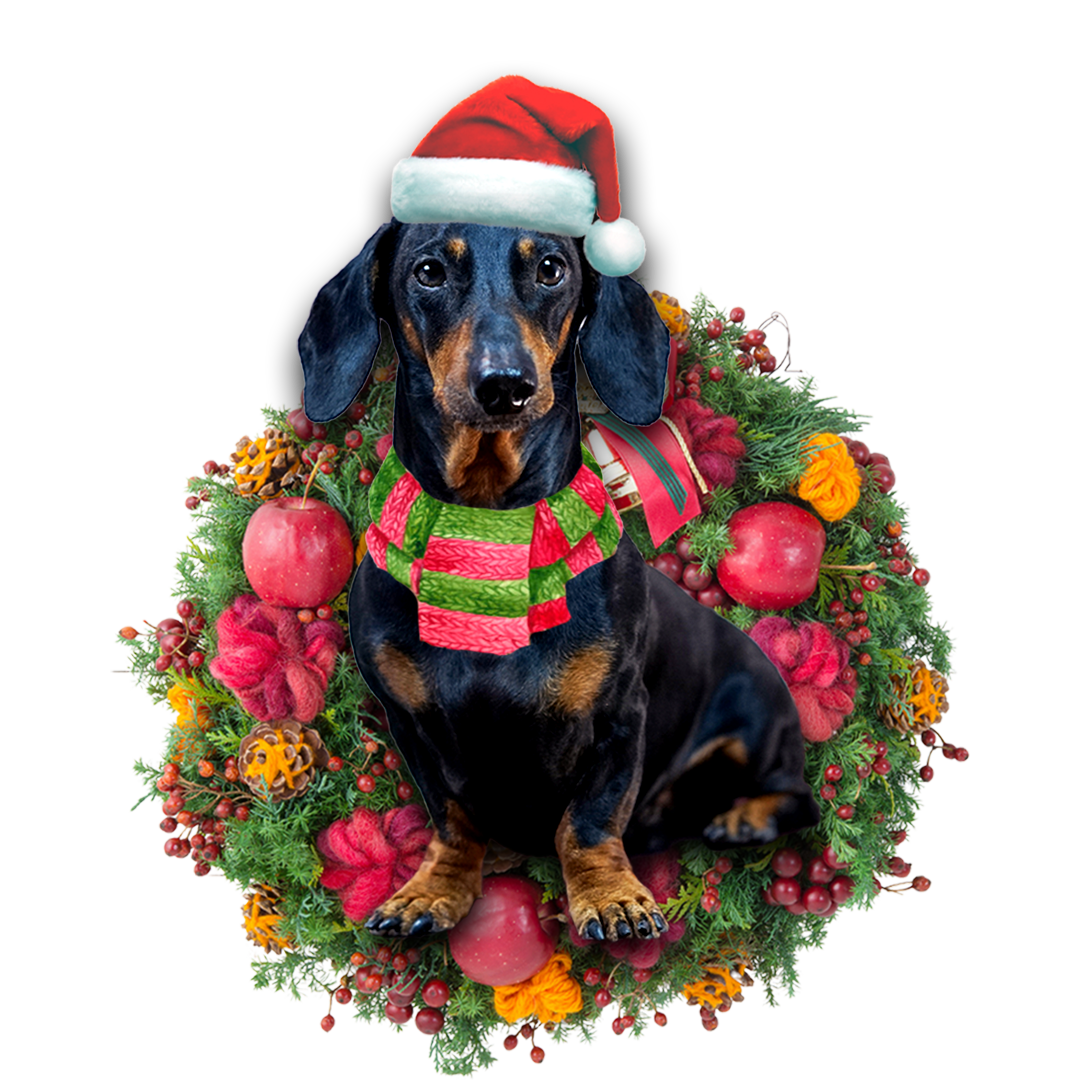 Godmerch- Ornament- Dachshund Christmas Ornament, Happy Christmas Ornament, Car Ornament