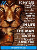 Dad Lion Canvas From Daughter To My Dad So Much Of Me Is Made From What I Learned From You Canvas Wall Art Full Size