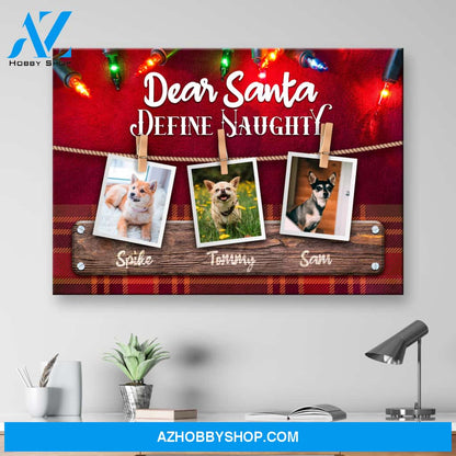 Define Naughty Dog Premium Canvas