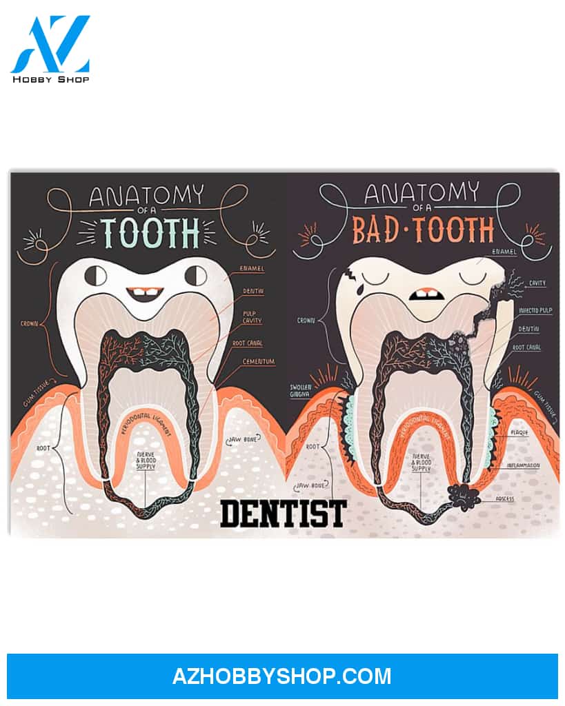 Dentist Anatomy Of Tooth Poster Wall Decor