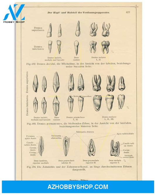 Dentist Vintage Dental Poster Wall Decor