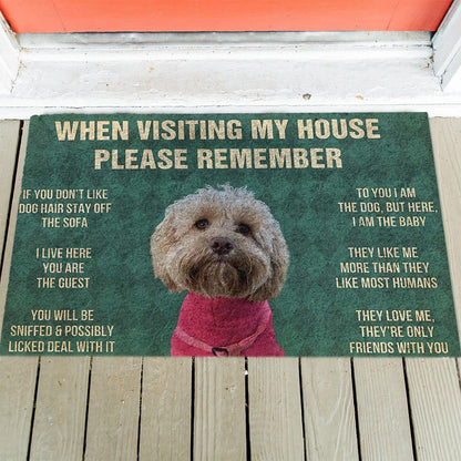Dog's Rules Doormat