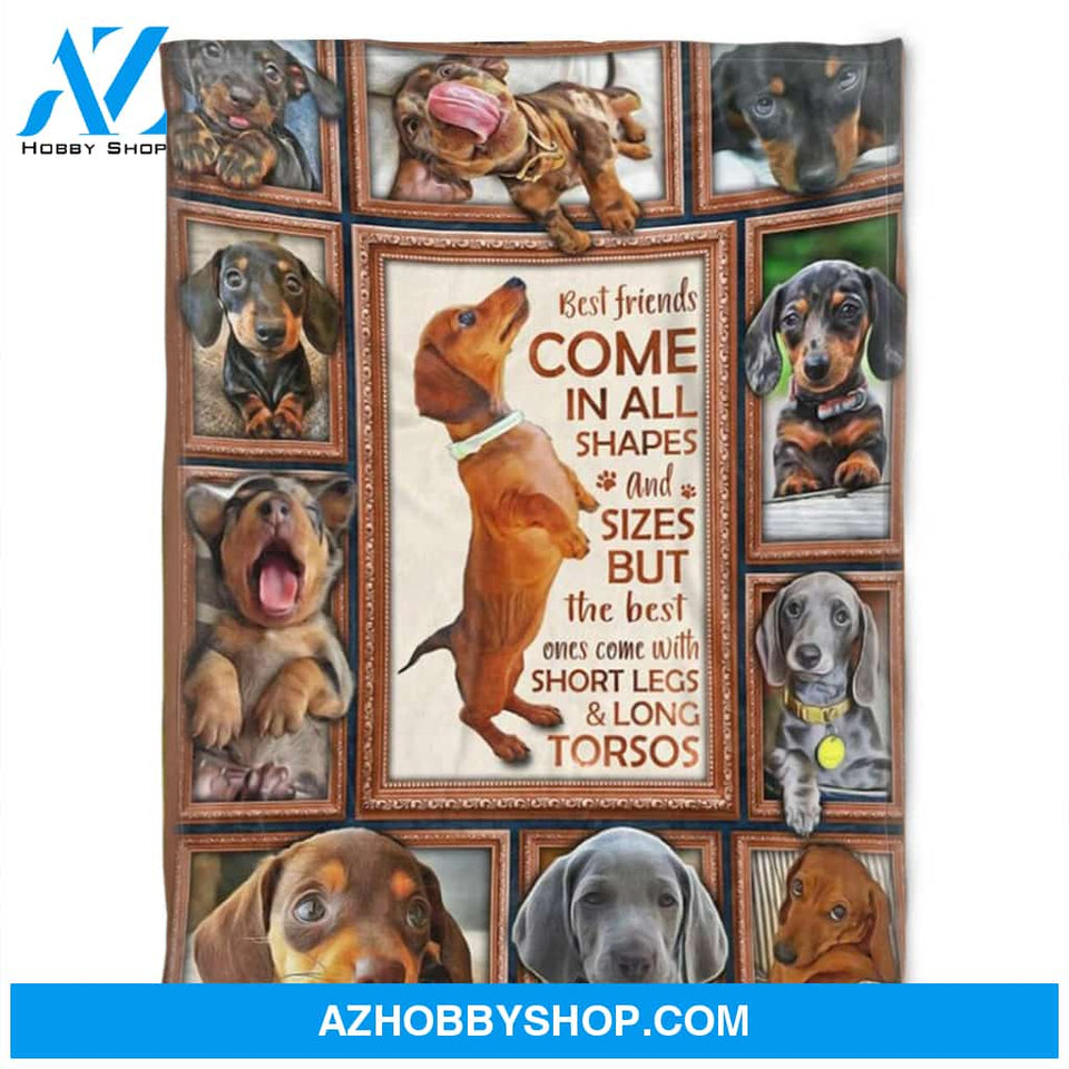 Dog Blanket,Fleece Blanket,Best Friend Come In All Shapes.Gift For People Family Home Decor Bedding Couch Sofa Soft and Comfy Cozy