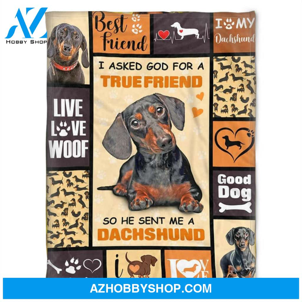 Dog Blanket, Sent Me A Dachshund, I Love Dachshund. Gift For Dog Lover Family Home Decor Bedding Couch Sofa Soft and Comfy Cozy