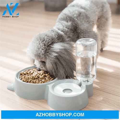 Dog Bowl