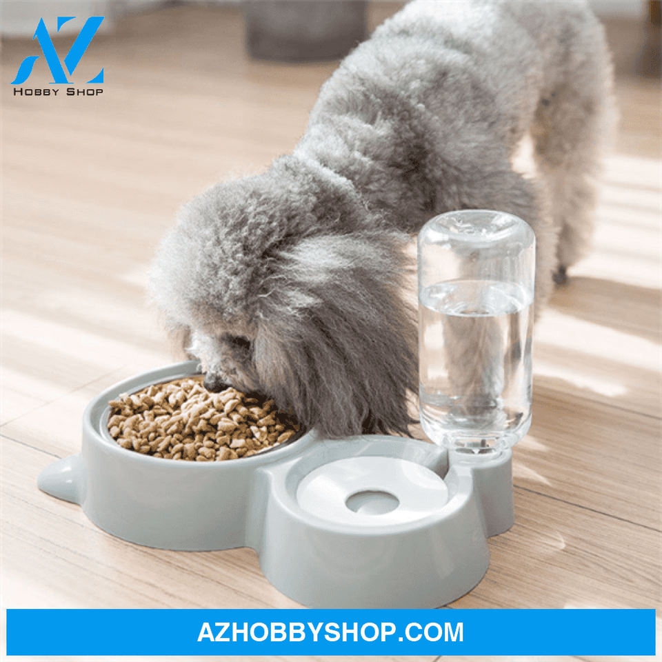Dog Bowl