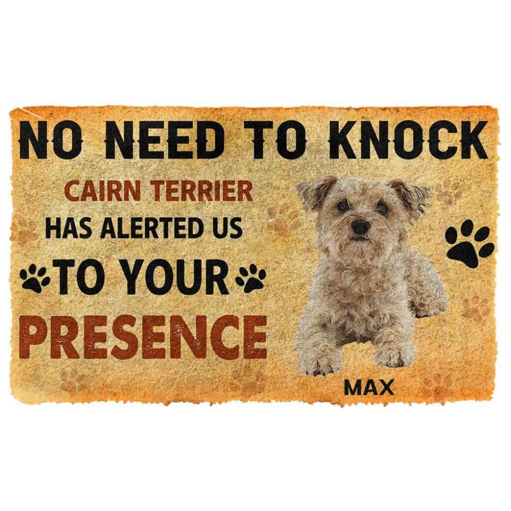 Dog Doormat 3D No Need To Knock Cairn Terrier Dog Custom Name Doormat