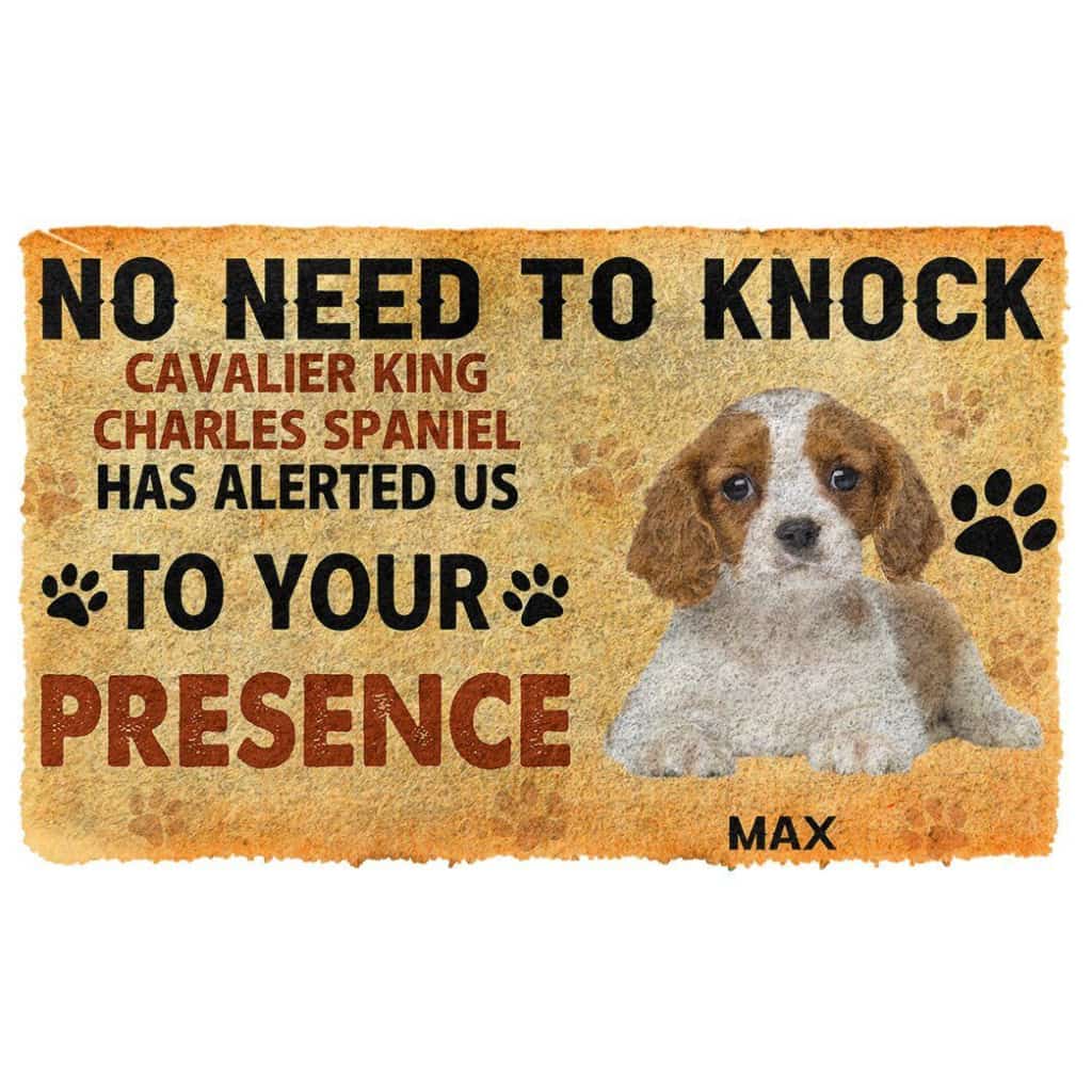 Dog Doormat 3D No Need To Knock Cavalier King Charles Spaniel Dog Custom Name Doormat