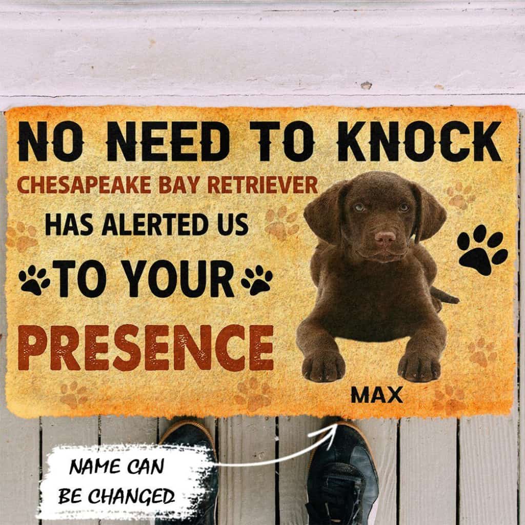 Dog Doormat 3D No Need To Knock Chesapeake Bay Retriever Dog Custom Name Doormat