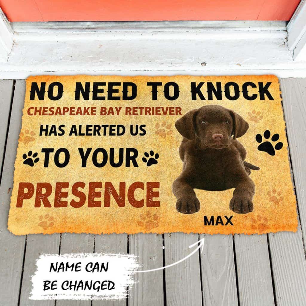 Dog Doormat 3D No Need To Knock Chesapeake Bay Retriever Dog Custom Name Doormat