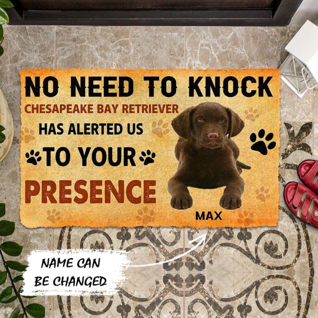 Dog Doormat 3D No Need To Knock Chesapeake Bay Retriever Dog Custom Name Doormat