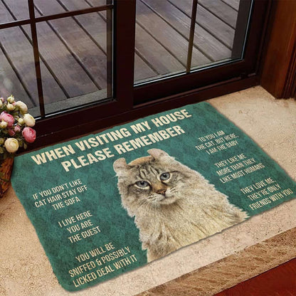 Dog Doormat 3D Please Remember American Curl Cat House Rules Custom Doormat