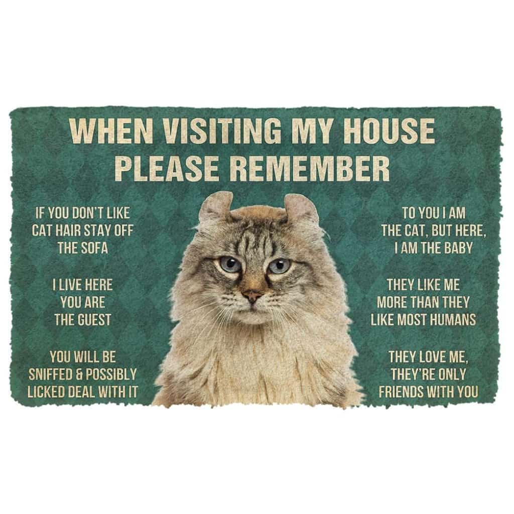 Dog Doormat 3D Please Remember American Curl Cat House Rules Custom Doormat