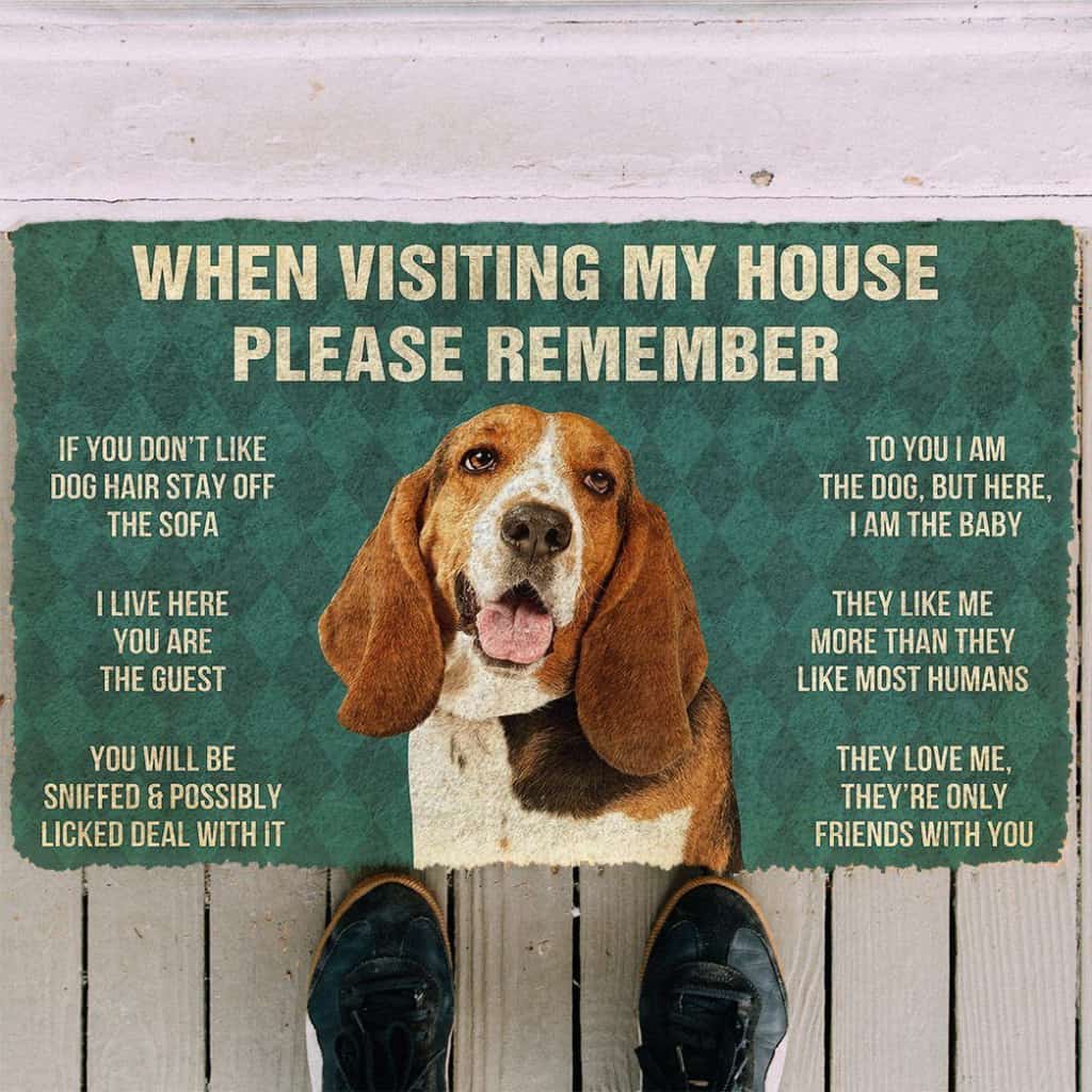Dog Doormat 3D Please Remember Basset Hound Dogs House Rules Custom Doormat