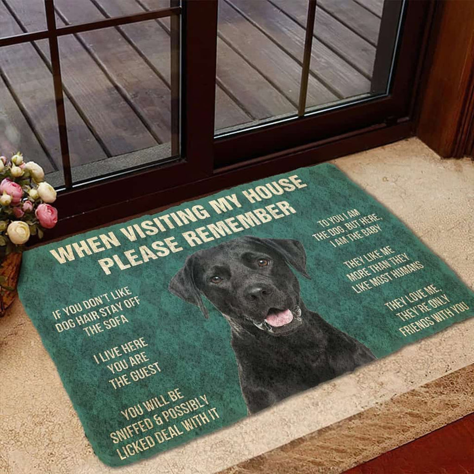 Dog Doormat 3D Please Remember Black Labrador Retrievers House Rule Custom Doormat