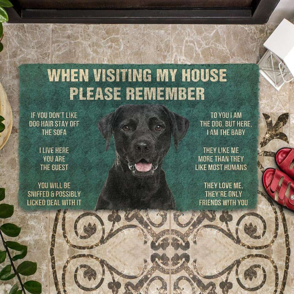 Dog Doormat 3D Please Remember Black Labrador Retrievers House Rule Custom Doormat