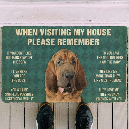 Dog Doormat 3D Please Remember Bloodhound Dogs House Rules Custom Doormat