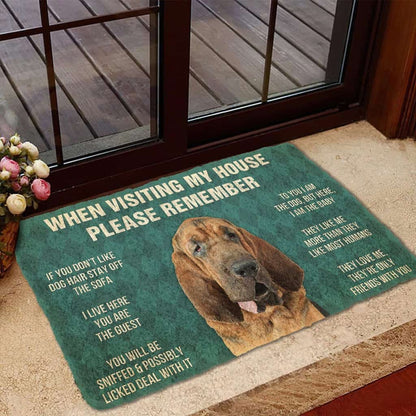 Dog Doormat 3D Please Remember Bloodhound Dogs House Rules Custom Doormat