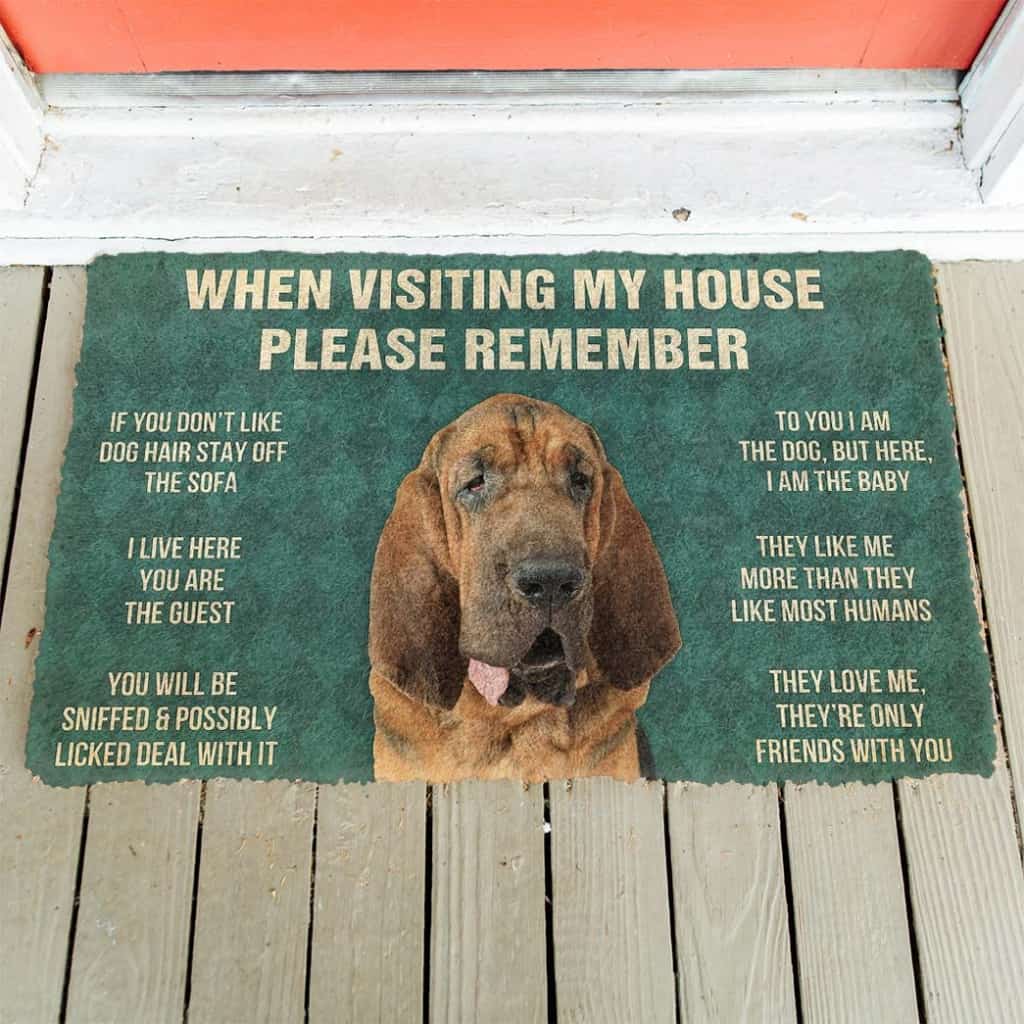 Dog Doormat 3D Please Remember Bloodhound Dogs House Rules Custom Doormat