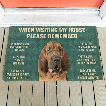 Dog Doormat 3D Please Remember Bloodhound Dogs House Rules Custom Doormat