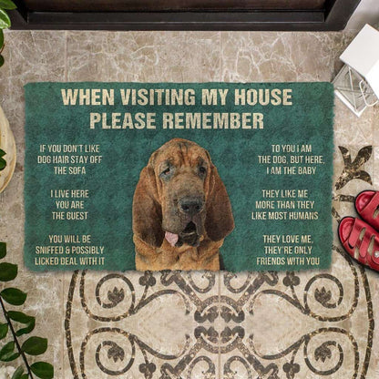 Dog Doormat 3D Please Remember Bloodhound Dogs House Rules Custom Doormat