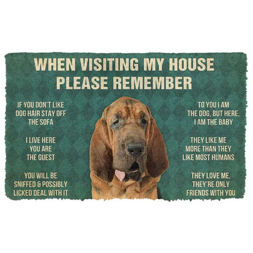 Dog Doormat 3D Please Remember Bloodhound Dogs House Rules Custom Doormat
