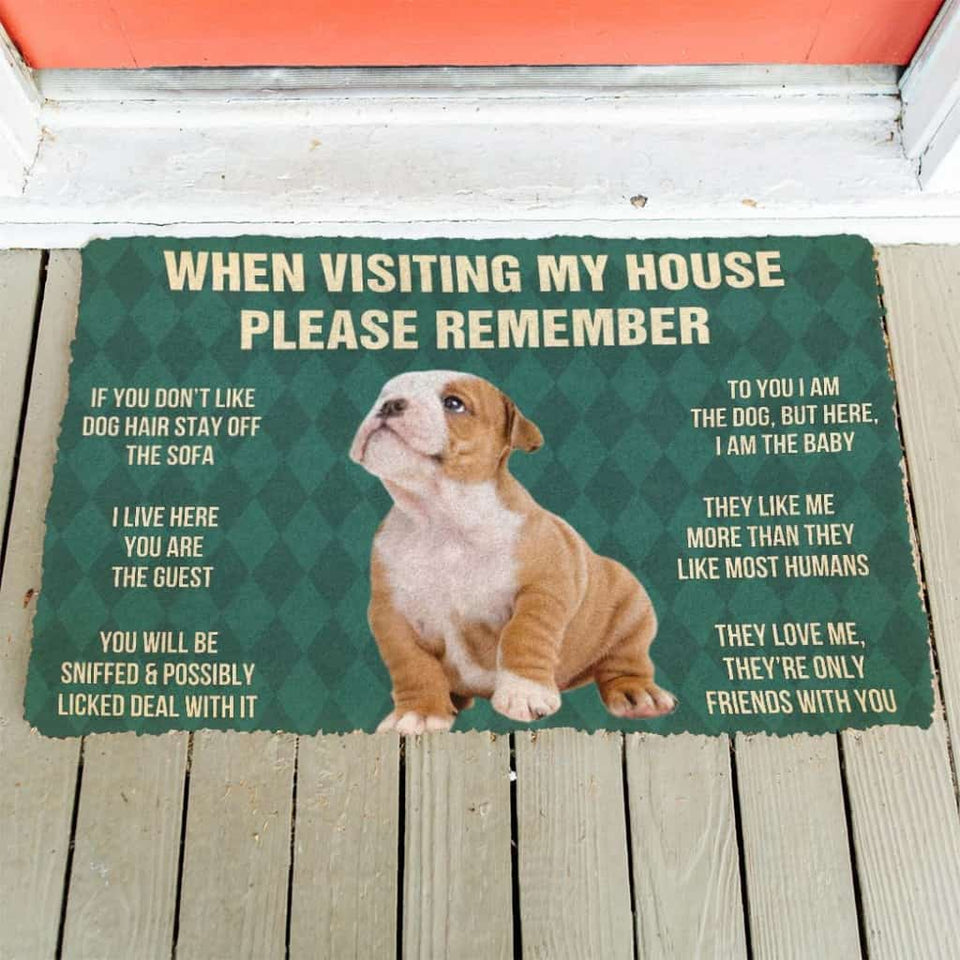 Dog Doormat 3D Please Remember Bulldog Puppy Dogs House Rules Custom Doormat