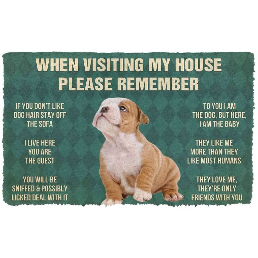 Dog Doormat 3D Please Remember Bulldog Puppy Dogs House Rules Custom Doormat