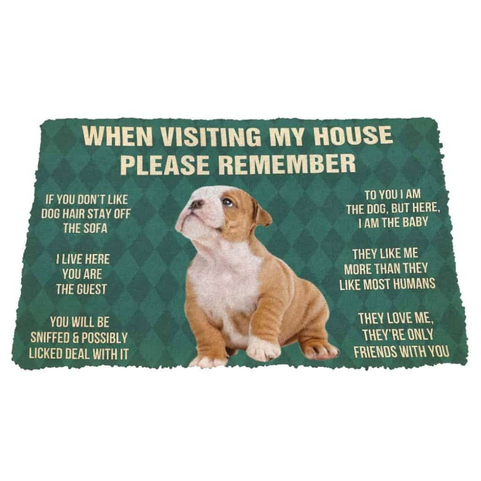 Dog Doormat 3D Please Remember Bulldog Puppy Dogs House Rules Custom Doormat