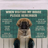 Dog Doormat 3D Please Remember Caucasian Shepherd Dogs House Rules Custom Doormat