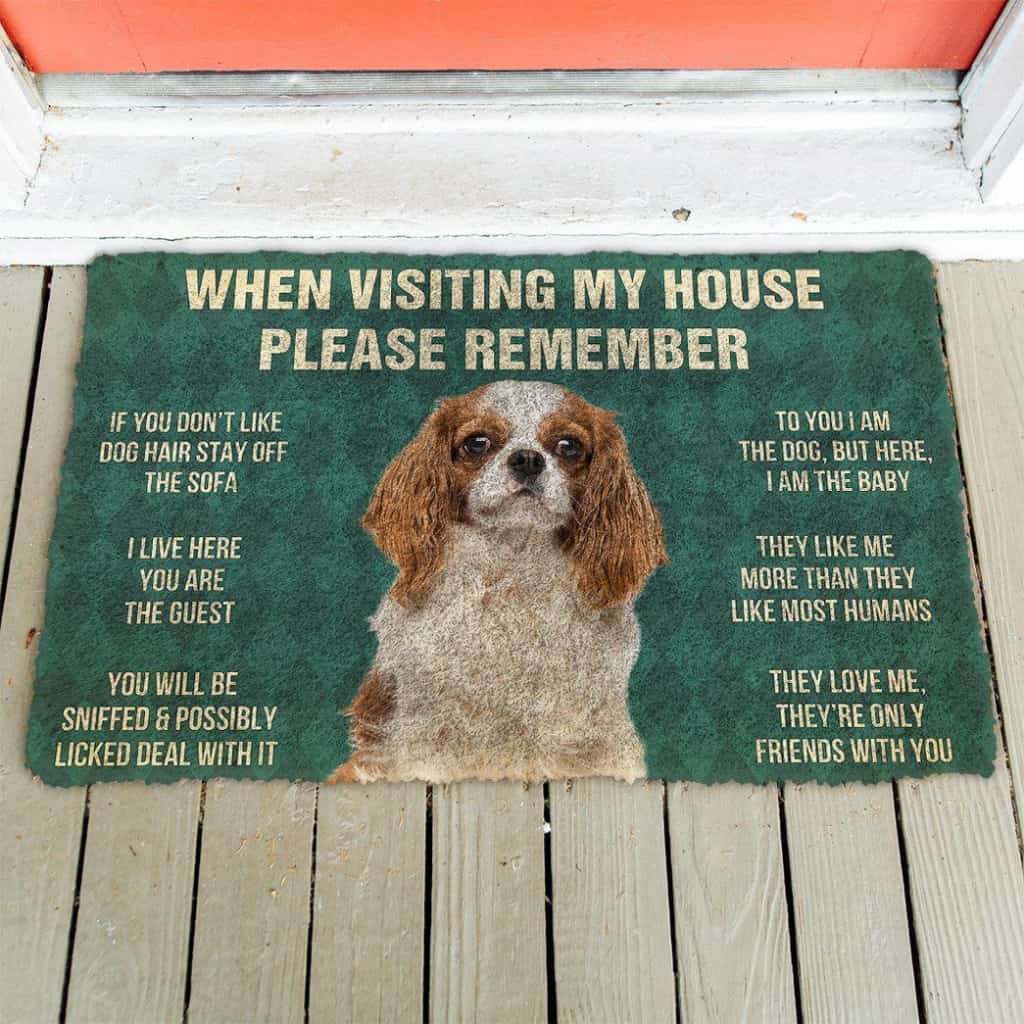 Dog Doormat 3D Please Remember Cavalier King Charles Spaniel Dogs House Rules Custom Doormat