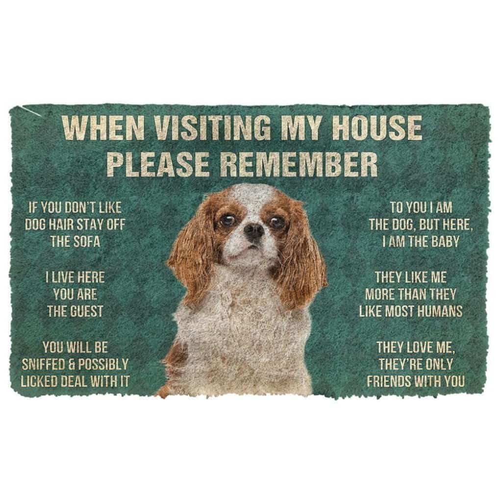 Dog Doormat 3D Please Remember Cavalier King Charles Spaniel Dogs House Rules Custom Doormat