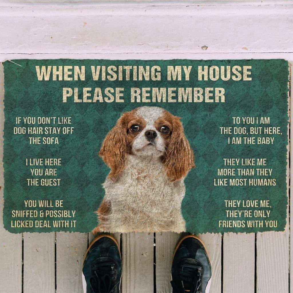 Dog Doormat 3D Please Remember Cavalier King Charles Spaniel Dogs House Rules Custom Doormat