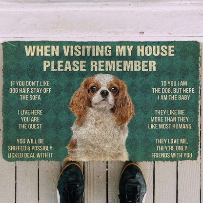 Dog Doormat 3D Please Remember Cavalier King Charles Spaniel Dogs House Rules Custom Doormat