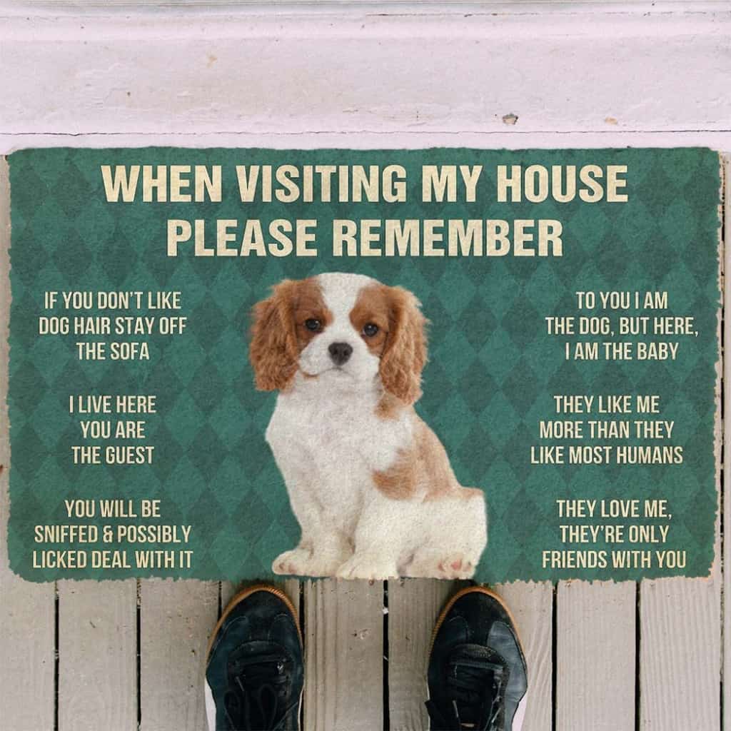 Dog Doormat 3D Please Remember Cavalier King Charles Spaniel Dogs Puppy Dogs House Rules Custom Doormat