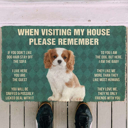 Dog Doormat 3D Please Remember Cavalier King Charles Spaniel Dogs Puppy Dogs House Rules Custom Doormat