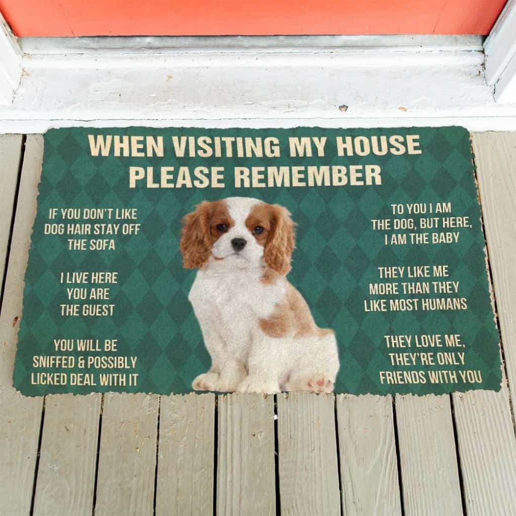 Dog Doormat 3D Please Remember Cavalier King Charles Spaniel Dogs Puppy Dogs House Rules Custom Doormat