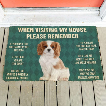 Dog Doormat 3D Please Remember Cavalier King Charles Spaniel Dogs Puppy Dogs House Rules Custom Doormat