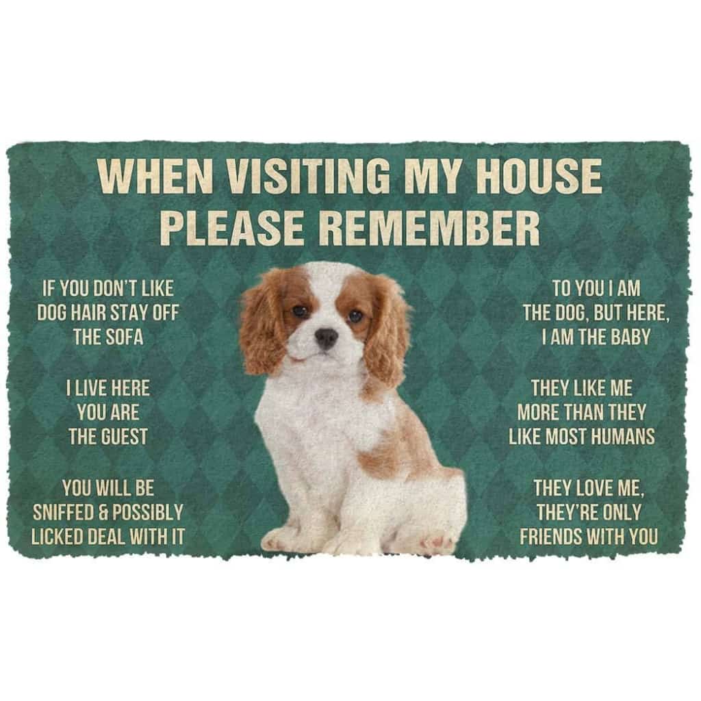 Dog Doormat 3D Please Remember Cavalier King Charles Spaniel Dogs Puppy Dogs House Rules Custom Doormat