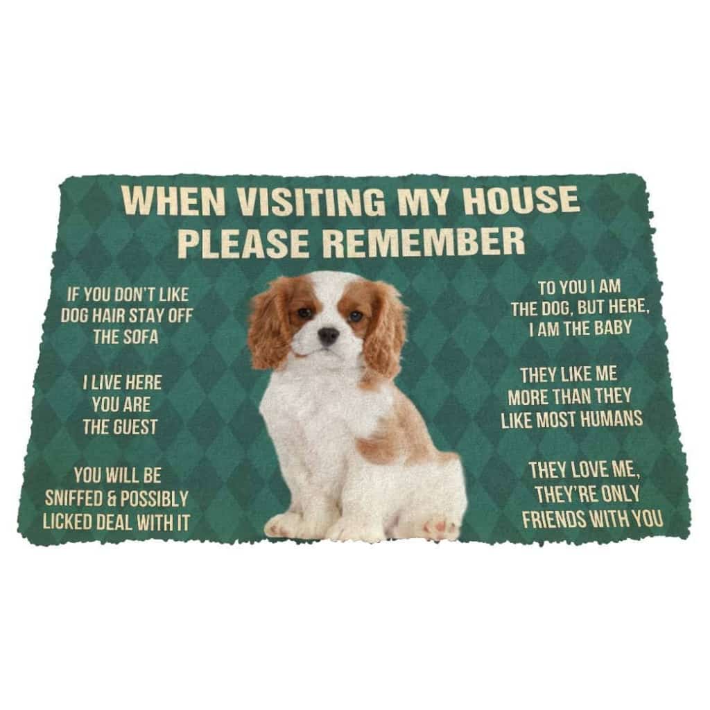Dog Doormat 3D Please Remember Cavalier King Charles Spaniel Dogs Puppy Dogs House Rules Custom Doormat