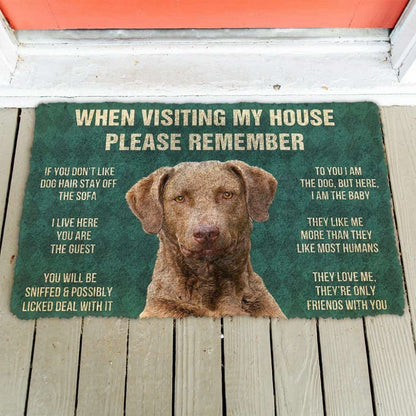 Dog Doormat 3D Please Remember Chesapeake Bay Retriever Dogs House Rules Custom Doormat
