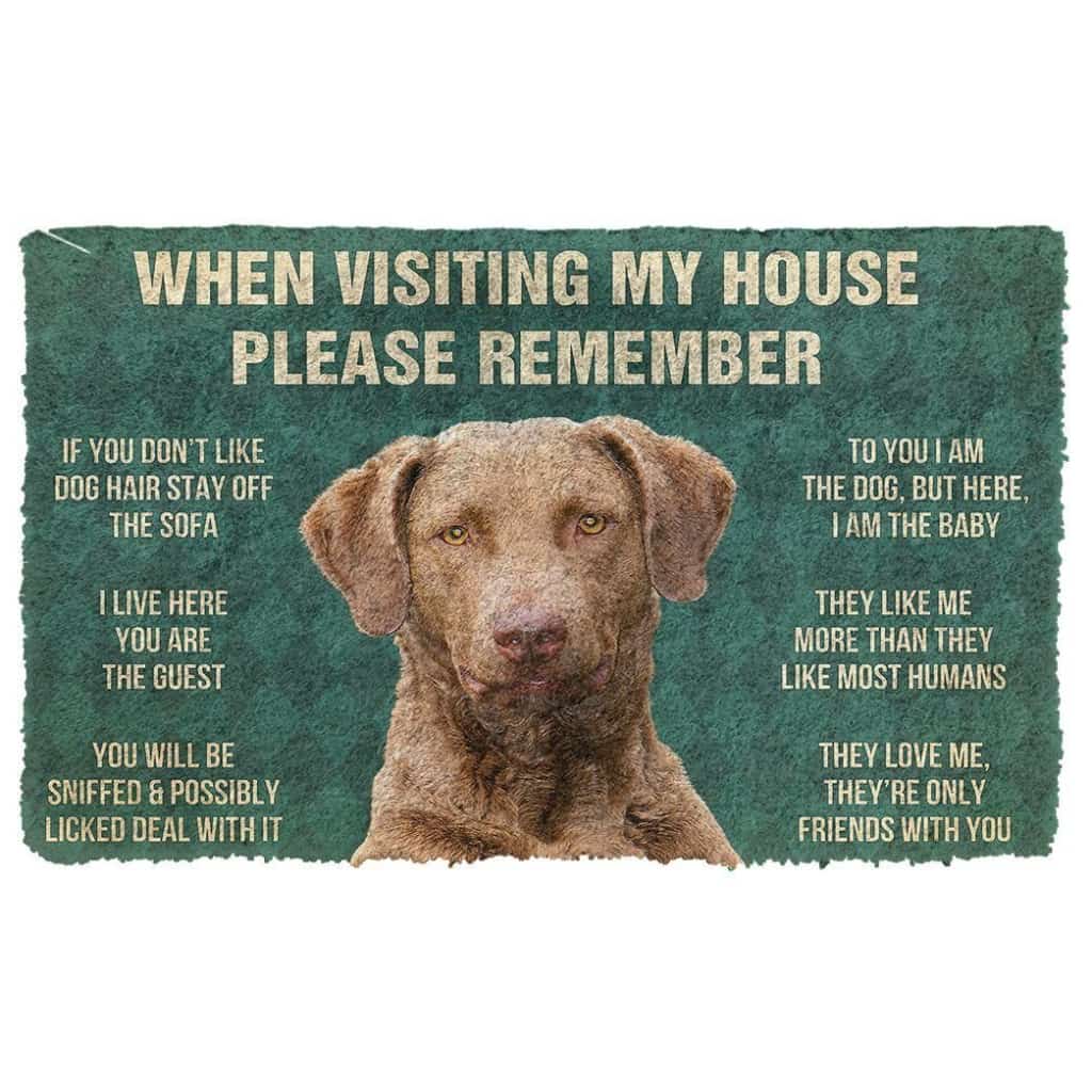 Dog Doormat 3D Please Remember Chesapeake Bay Retriever Dogs House Rules Custom Doormat