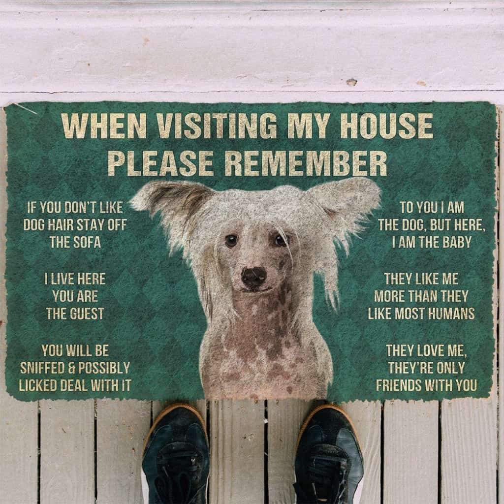 Dog Doormat 3D Please Remember Chinese Crested Dogs House Rules Custom Doormat