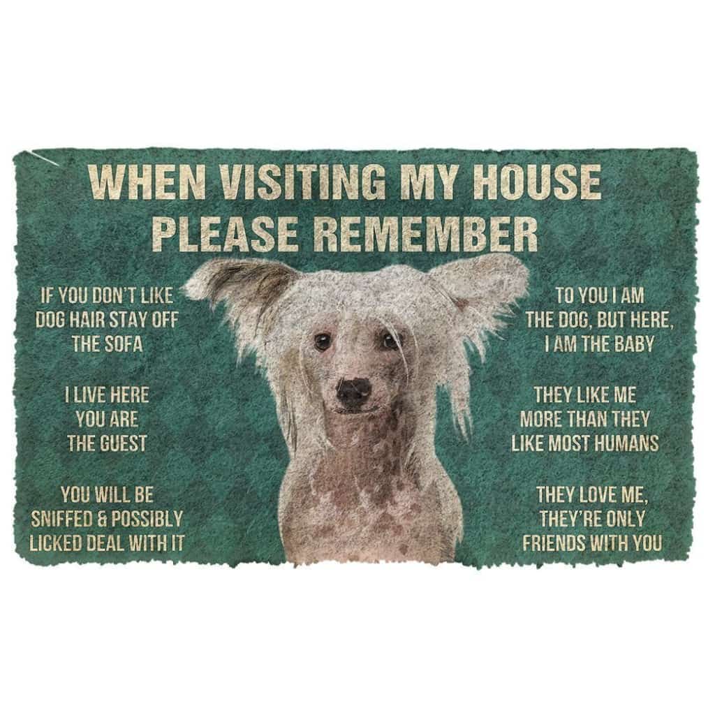 Dog Doormat 3D Please Remember Chinese Crested Dogs House Rules Custom Doormat