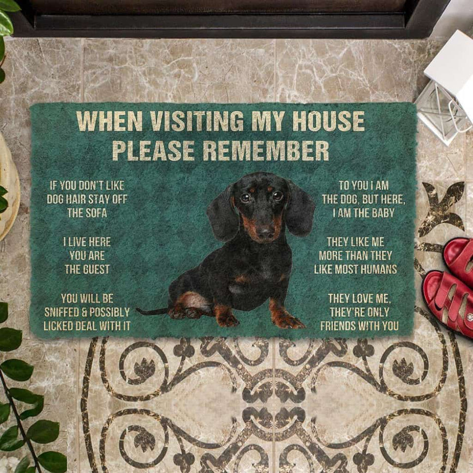 Dog Doormat 3D Please Remember Dachshunds Puppy Dogs House Rules Custom Doormat